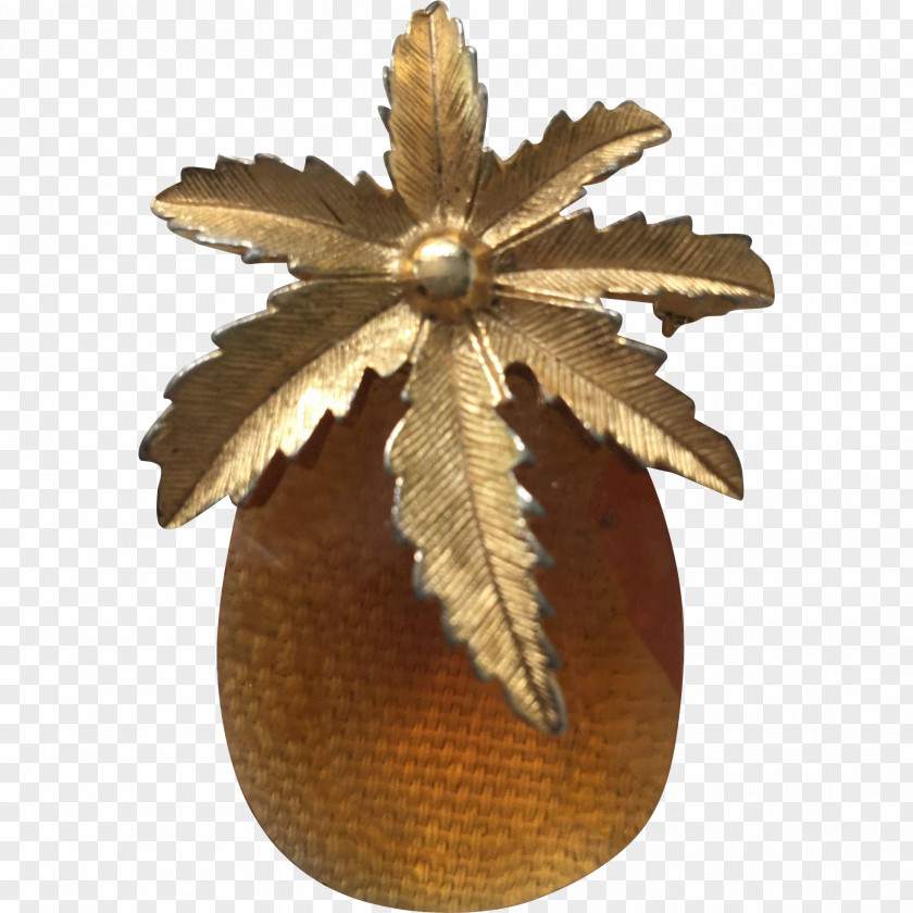Pineapple Leaf PNG