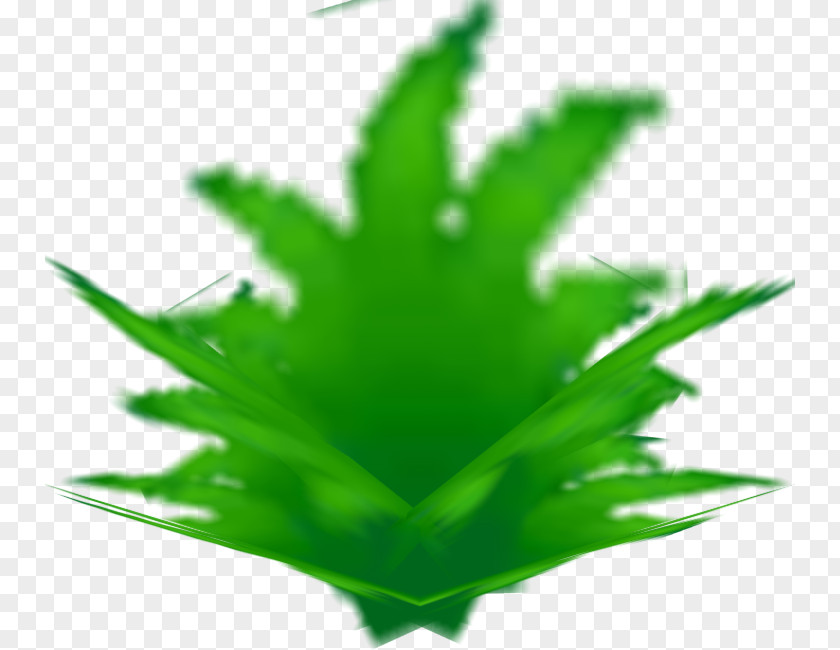 Cannabis Leaf Plant Stem Hemp PNG