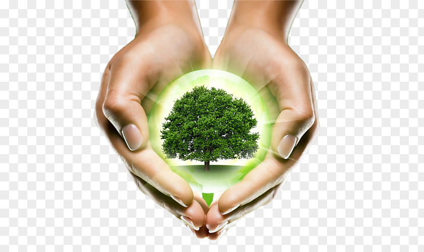 Holding Green Earth Plant Natural Environment Clip Art PNG