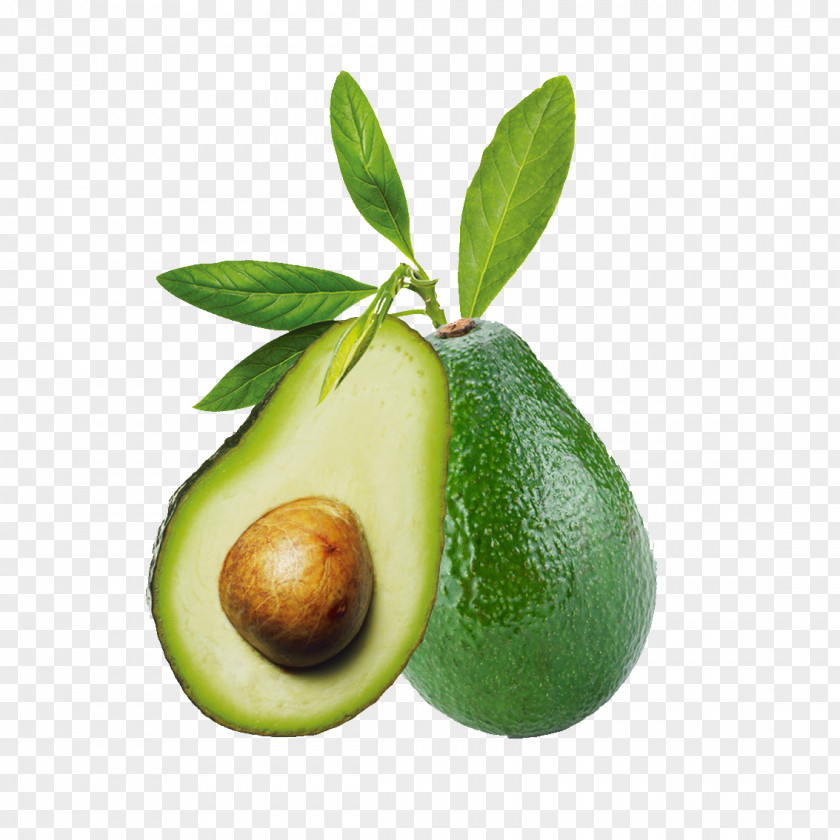 Real Avocado Extract Fruit Seed Skin Care PNG