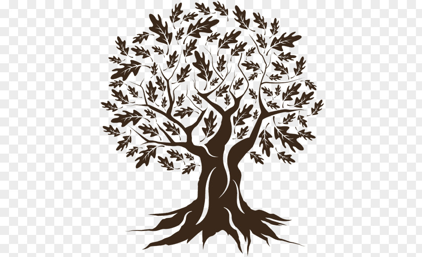 Root Blackandwhite Tree Trunk Drawing PNG