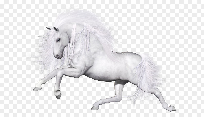 Unicorn Horse Pegasus Mane PNG
