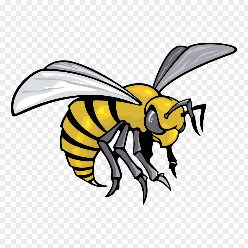 Asian Hornet Alabama State University Troy Hornets Football A&M Men's Basketball PNG