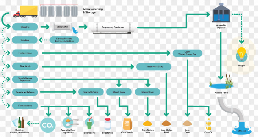 Dry Milling And Fractionation Of Grain Corn Refiners Association Oil Refining Ingredion Incorporated PNG