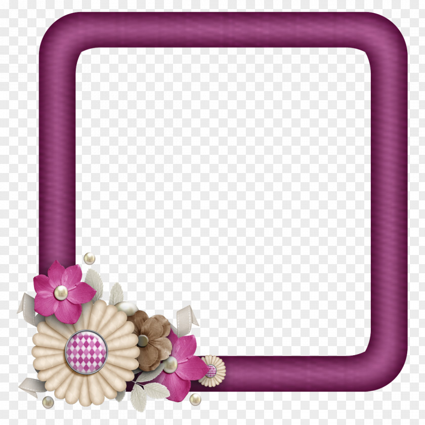 Floral Frame Picture Frames Digital Scrapbooking Craft PNG