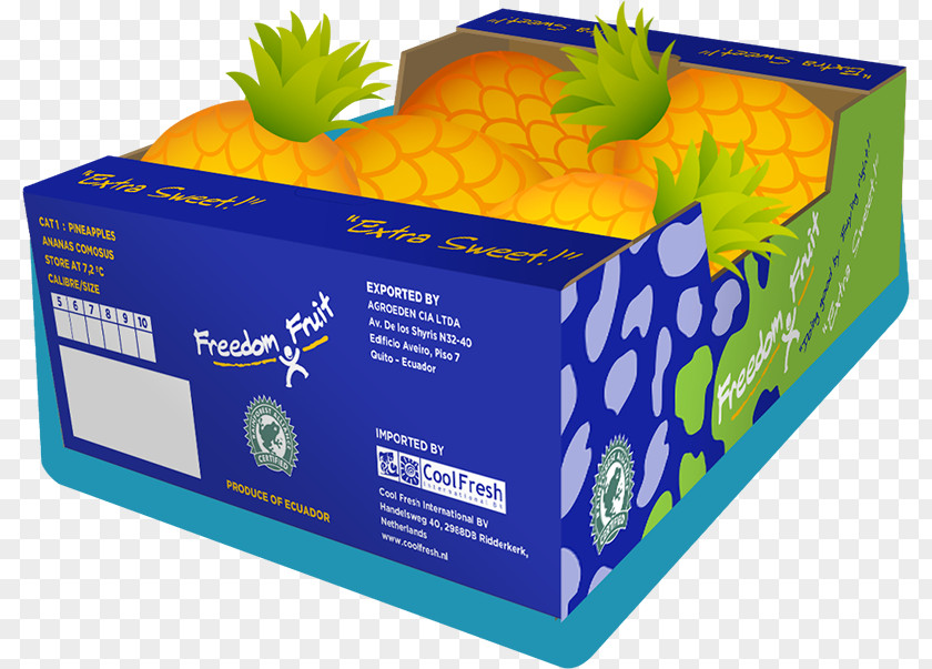 Fresh And Cool Fruit Netherlands Pineapple PNG