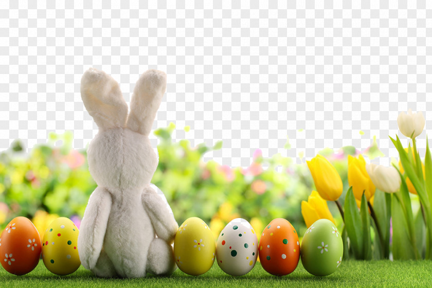 Beautiful Easter Egg Bunny PNG