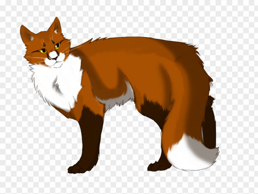 Cat Whiskers Red Fox Warriors PNG