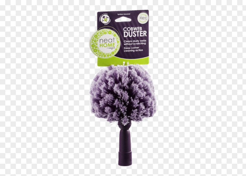 Cobweb Duster Spider Web Home PNG