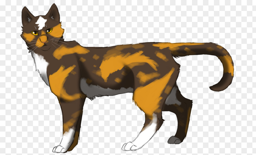 Forgotten Warrior Cats Of The Clans Fire And Ice Warriors Morningflower PNG