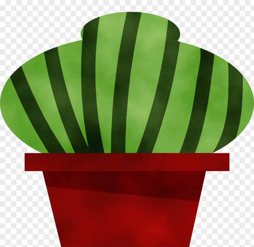 Cactus PNG