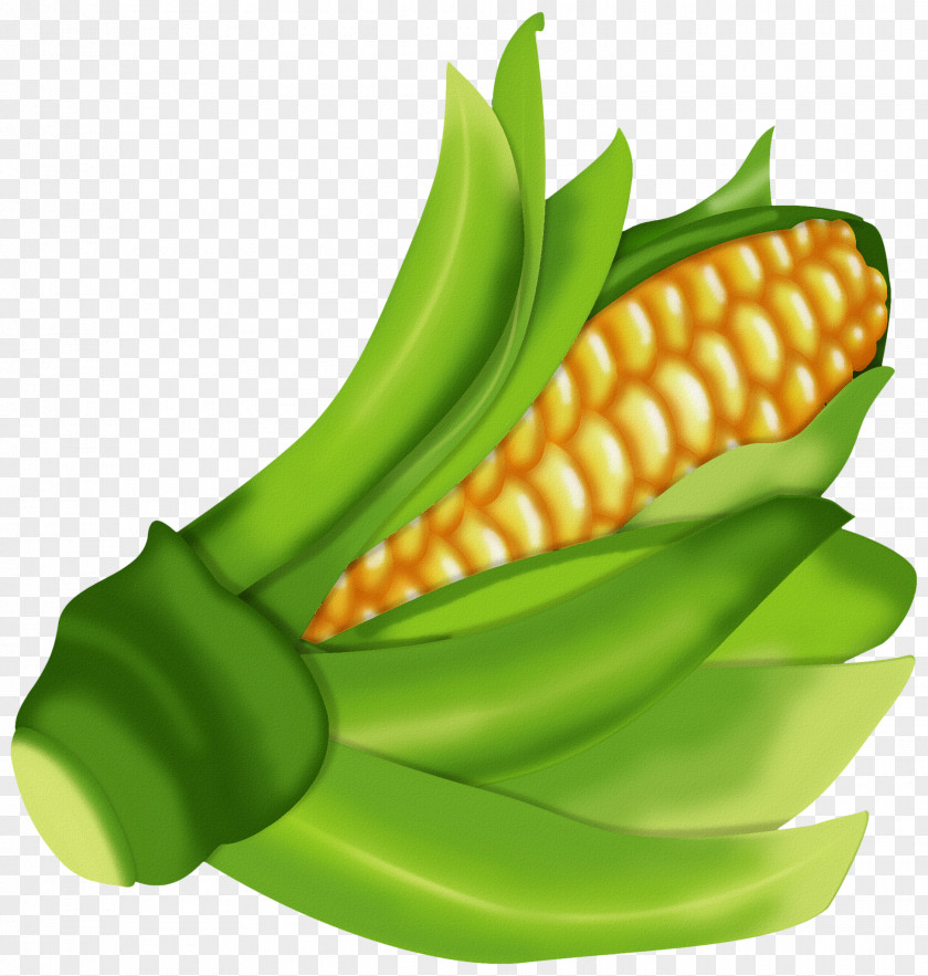 Cartoon Corn Food On The Cob Wedding Cake Maize PNG