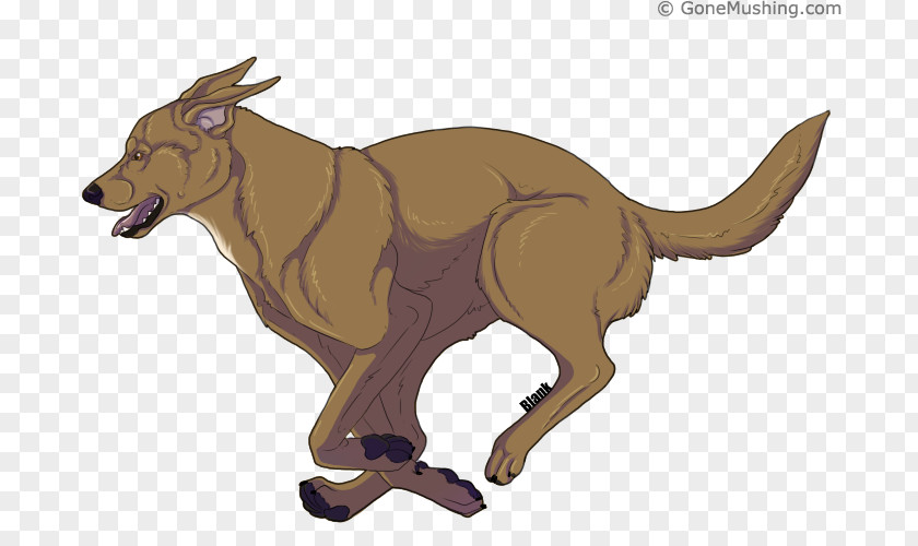 Dog Cattle Kangaroo Character Tail PNG