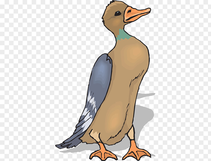 Duck Bird Clip Art PNG