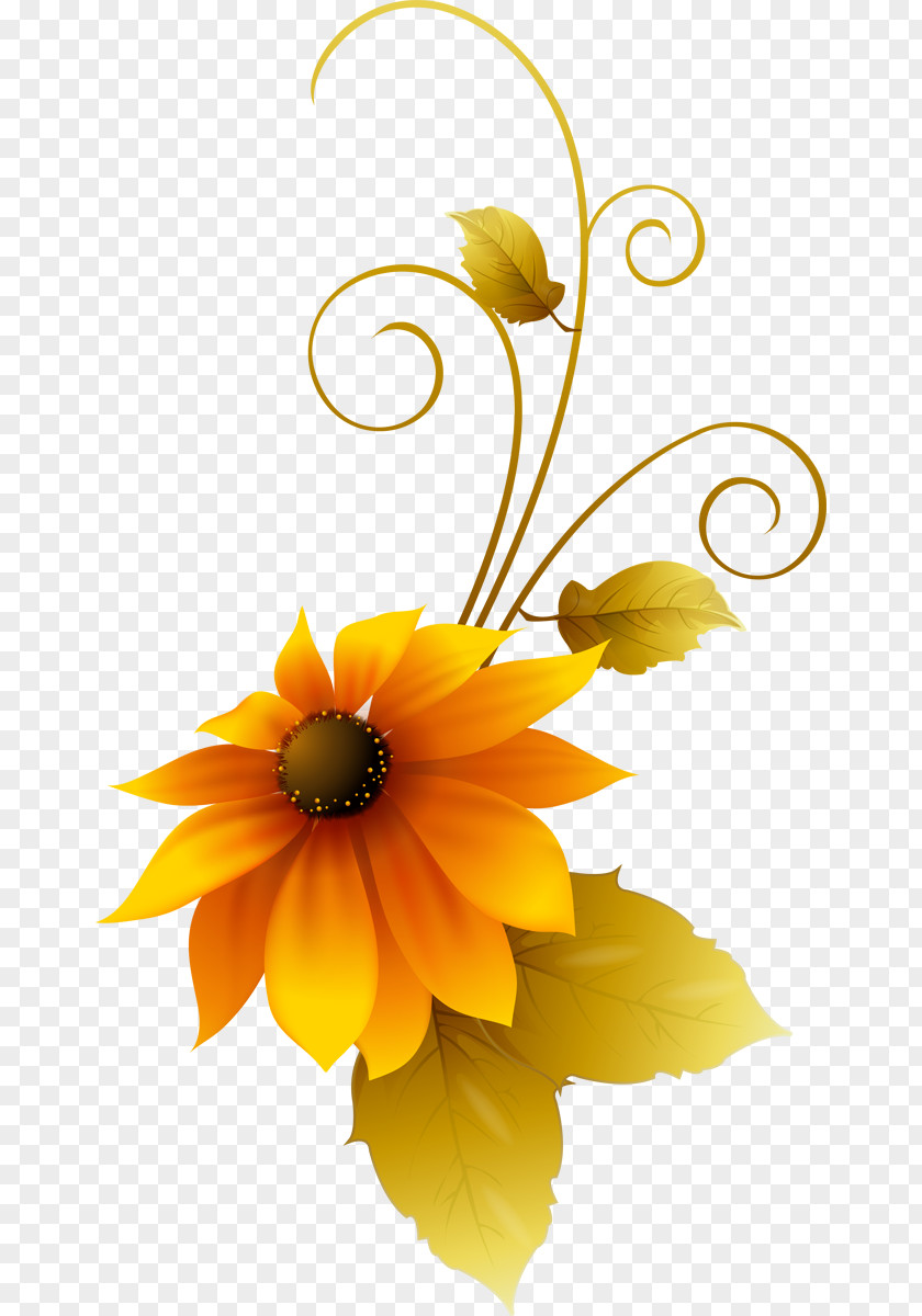 Flower Common Sunflower Adobe Photoshop Design Graphics PNG