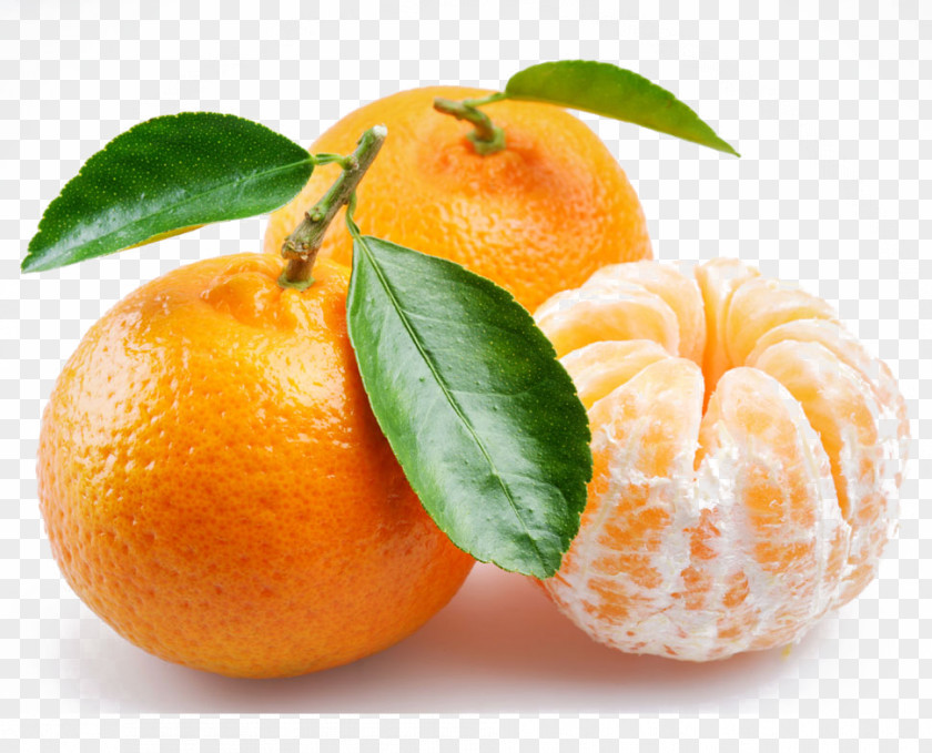 Fresh Orange Vitamin C Tangerine Juice Lemon Fruit PNG