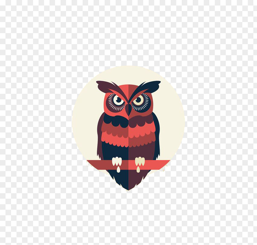 Owl Graphic Design Drawing Behance Illustration PNG