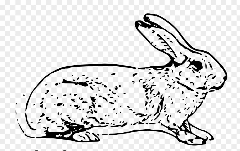 Rabbit European Hare Easter Bunny PNG