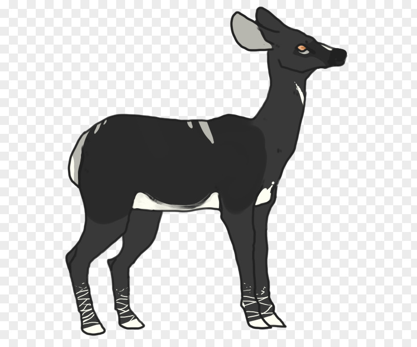 Reindeer Elk Mammal Goat PNG