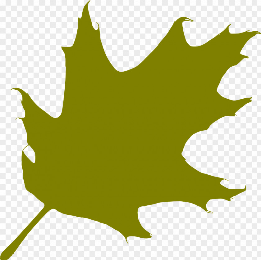 Silhouette Oak Leaf PNG
