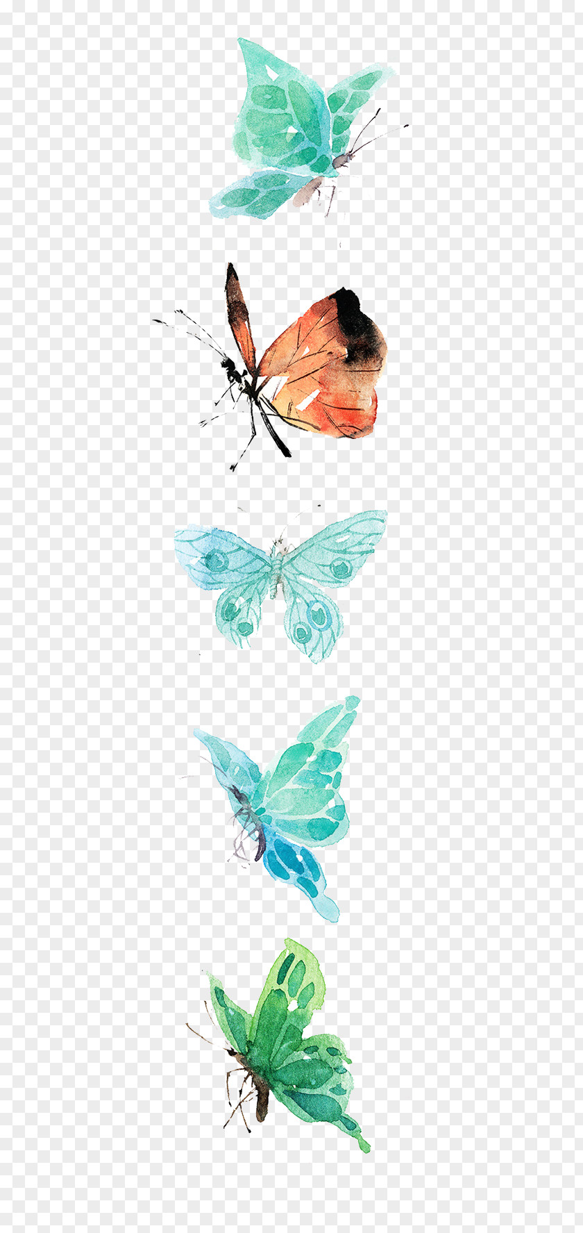 Butterfly Watercolor Painting Drawing Graphic Design Illustration PNG