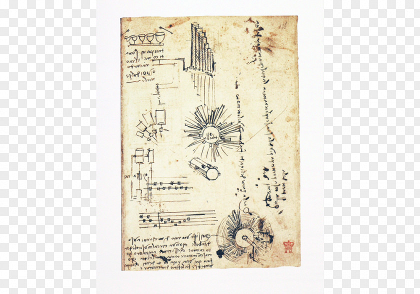 Dali The Notebooks Of Leonardo Da Vinci ? Complete Codex Leicester Renaissance Vitruvian Man Leonardo's Notebooks: Writing And Art Great Master PNG