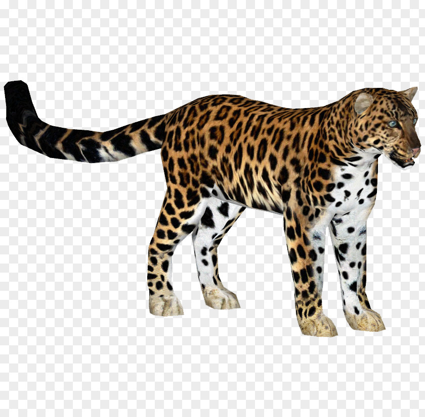 Leopard Zoo Tycoon 2 Jaguar Felidae Amur Cheetah PNG