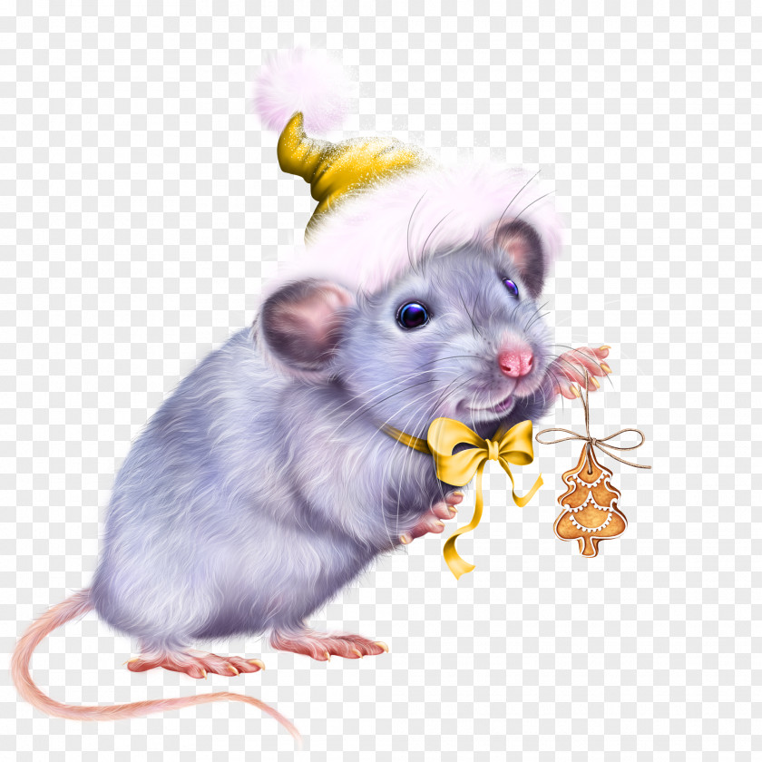 Packrats Fare Christmas And New Year Background PNG