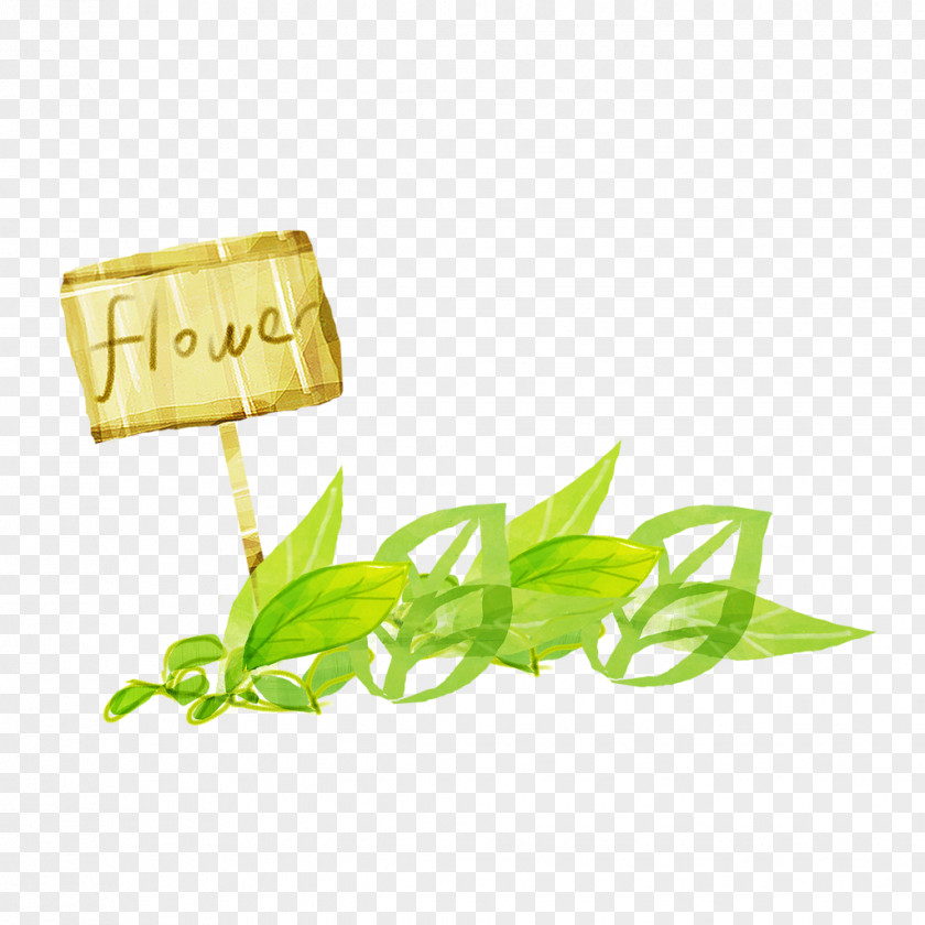Painted Green Leaves Illustration PNG