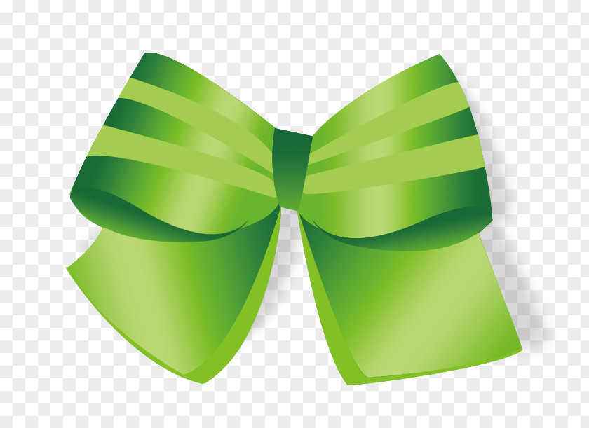 Fresh Green Bow PNG