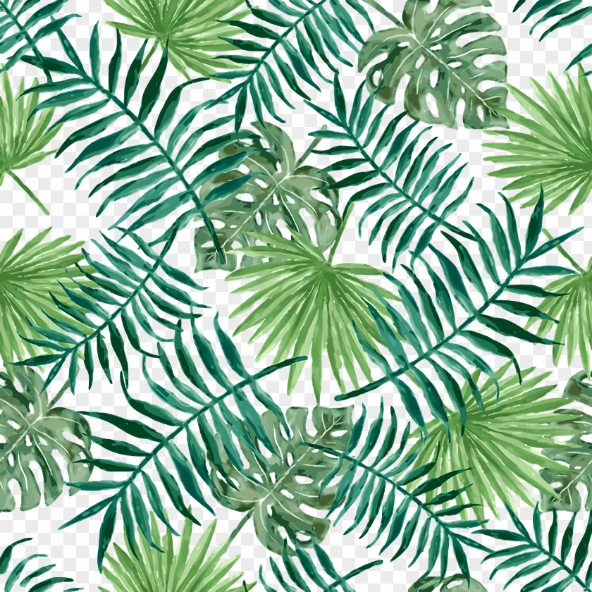 Pine Leaf Evergreen Green Pattern PNG