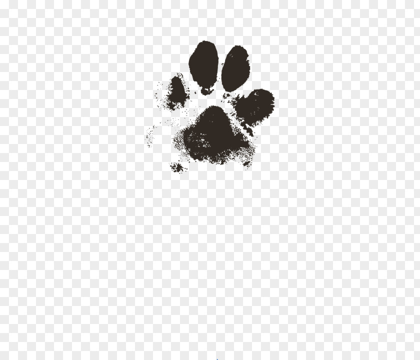 Cat Paw Puppy Printing Footprint PNG
