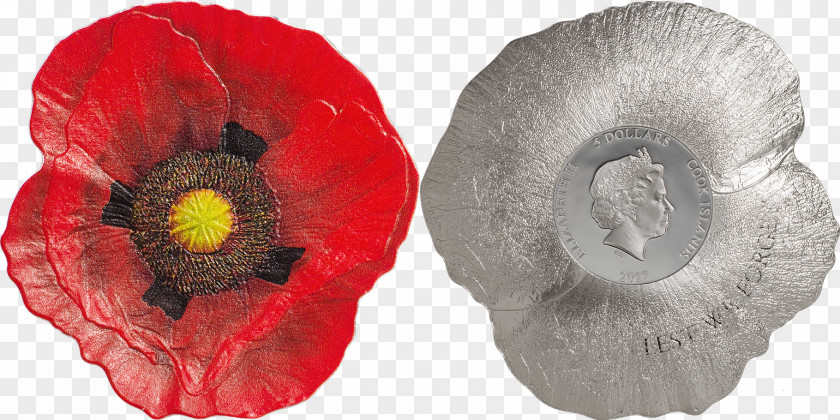 Coin Remembrance Poppy Silver PNG