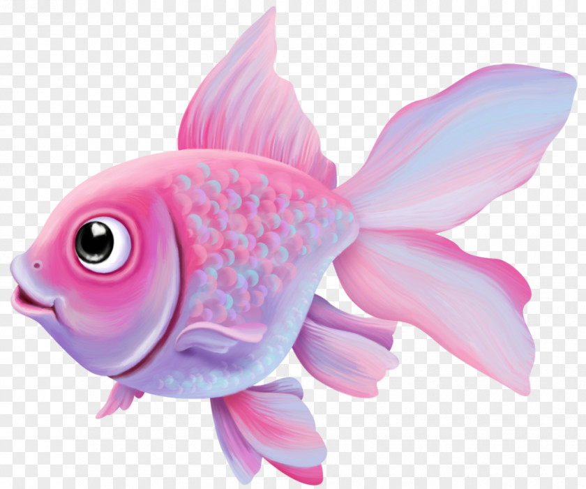 Fish Goldfish Pink M Marine Biology PNG