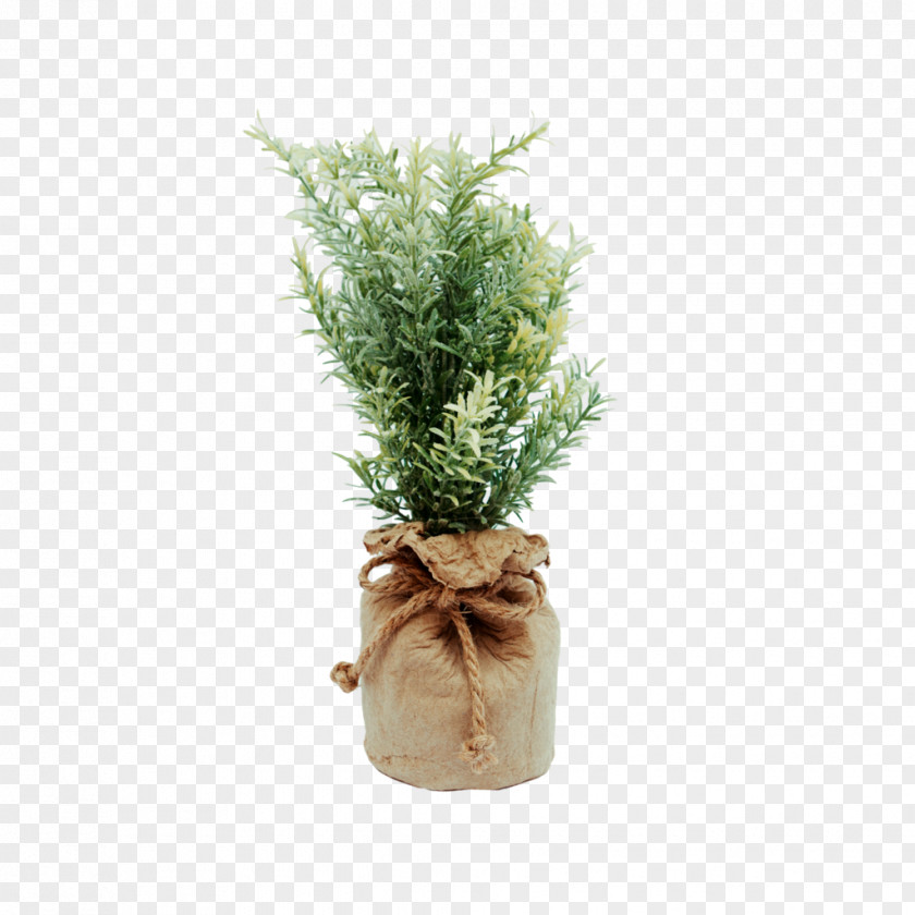 Lanta De Cafe Flowerpot Ornamental Plant Plastic Light PNG