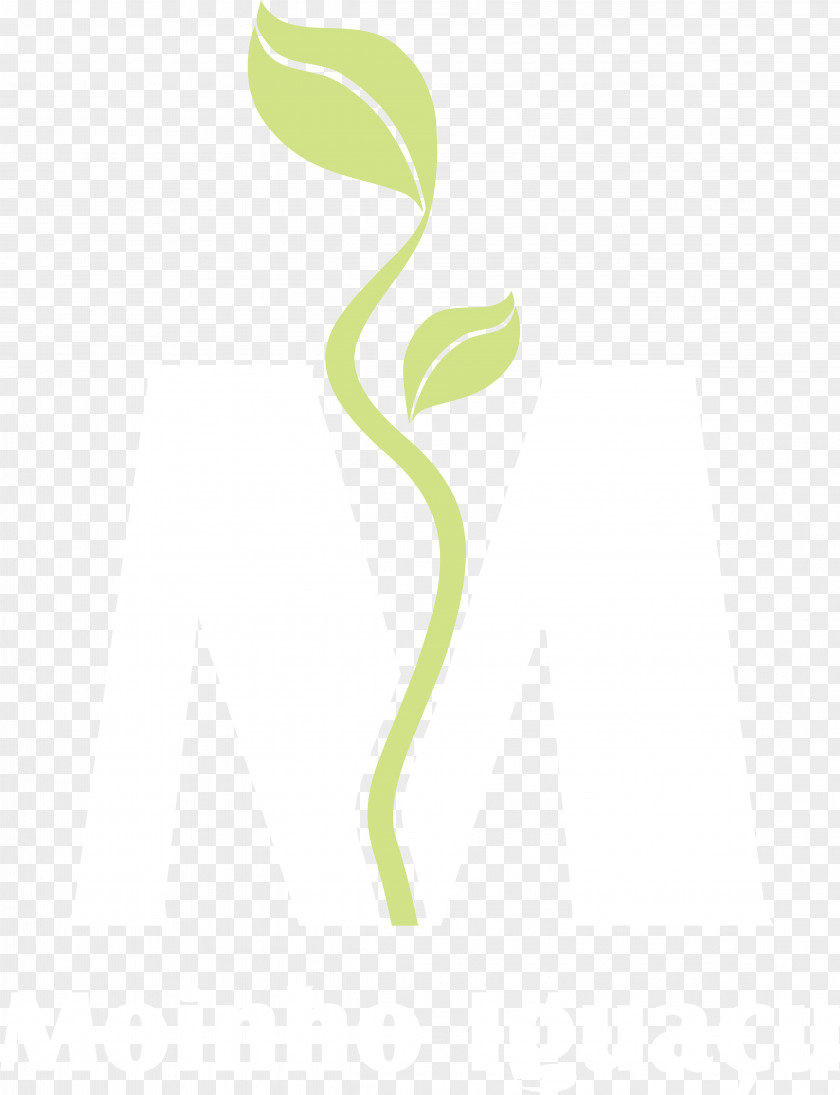 Leaf Logo Green Font PNG