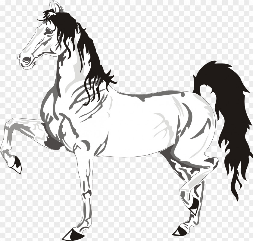 Mustang Stallion Black And White Mane Sketch PNG