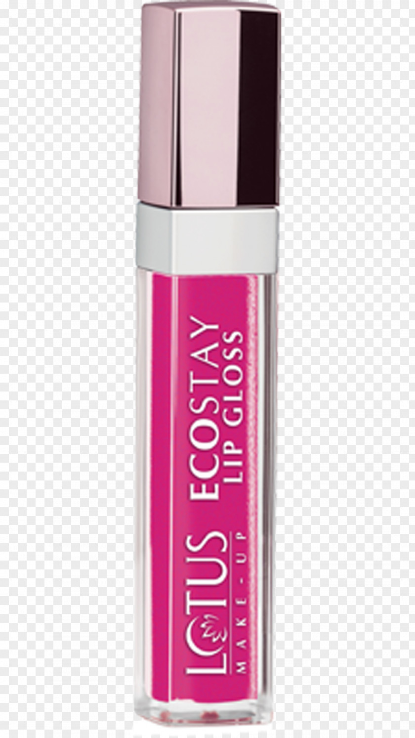 Paytm Lip Gloss Cosmetics Color LÓreal PNG