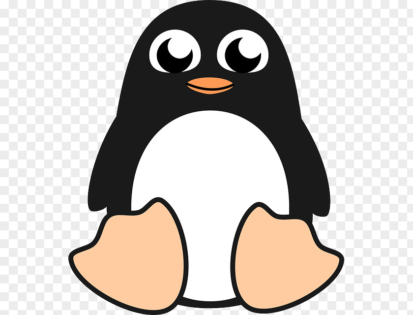 Penguin Download Clip Art PNG