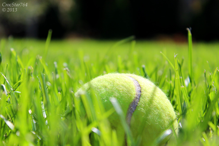 Tennis The Championships, Wimbledon Balls Padel PNG