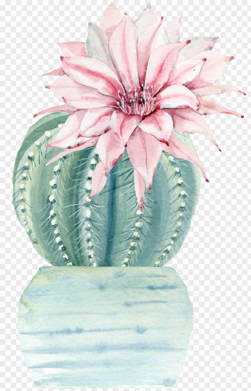 Water Color Flower Plant Cactus PNG