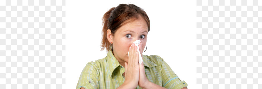 Allergy Sneeze Sinus Infection God Bless You Influenza PNG