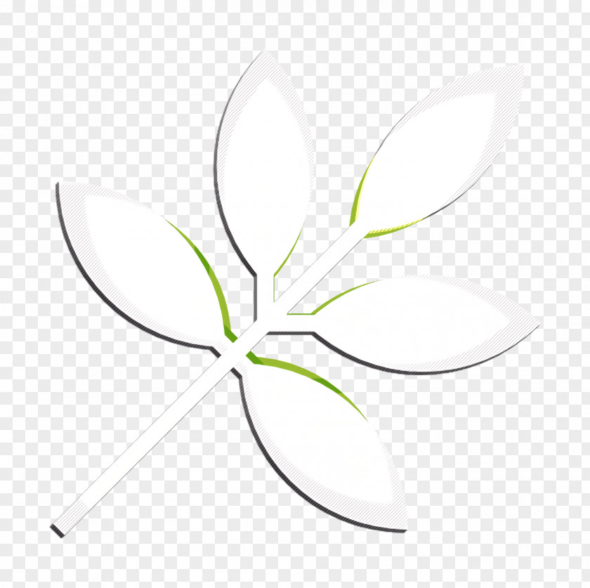 Autumn Icon Leaf PNG