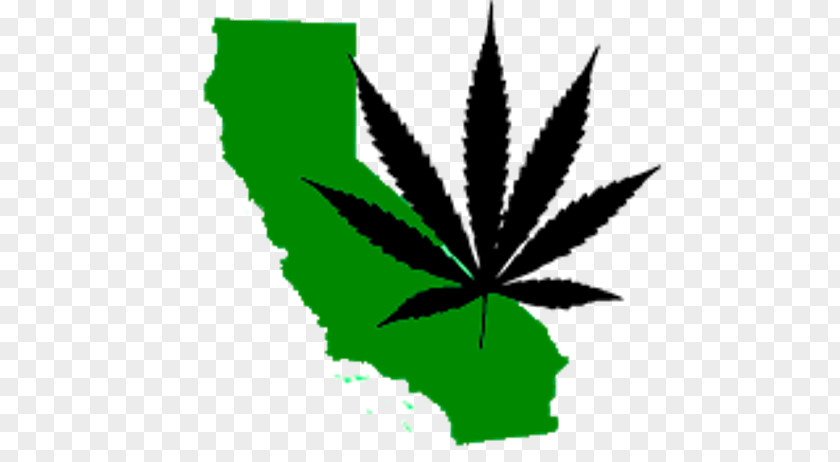 Cannabis In California Medical Adult Use Of Marijuana Act Legality PNG