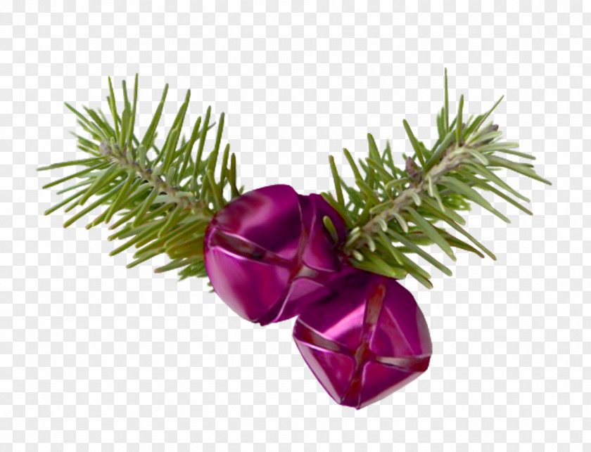 Christmas Ornament Cut Flowers Spruce Branching PNG