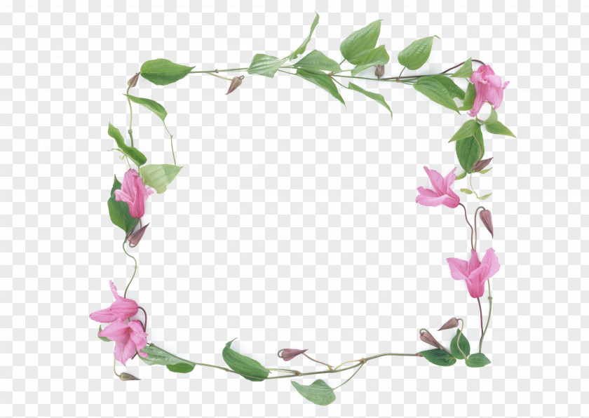 Garland Border Flower Picture Frame Photography Clip Art PNG