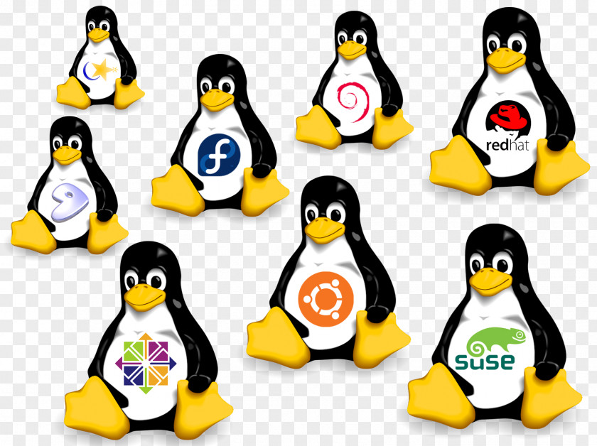 Linux SUSE Distributions Operating Systems Ubuntu PNG