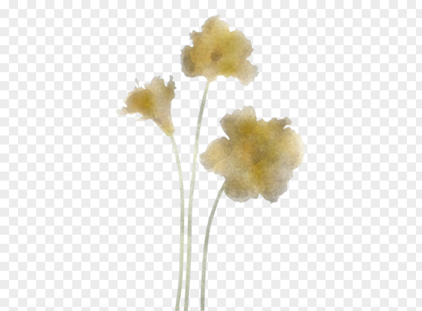 Plant Stem Cut Flowers Petal Flower PNG