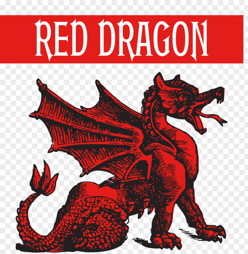 Red Dragon Fruit Objectiva Comunicação J. Woods Beverage Group Voluntary Association Communication Business PNG