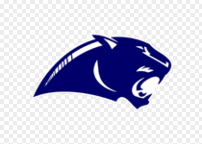 American Football Carolina Panthers Springboro Cincinnati Bearcats Flag PNG